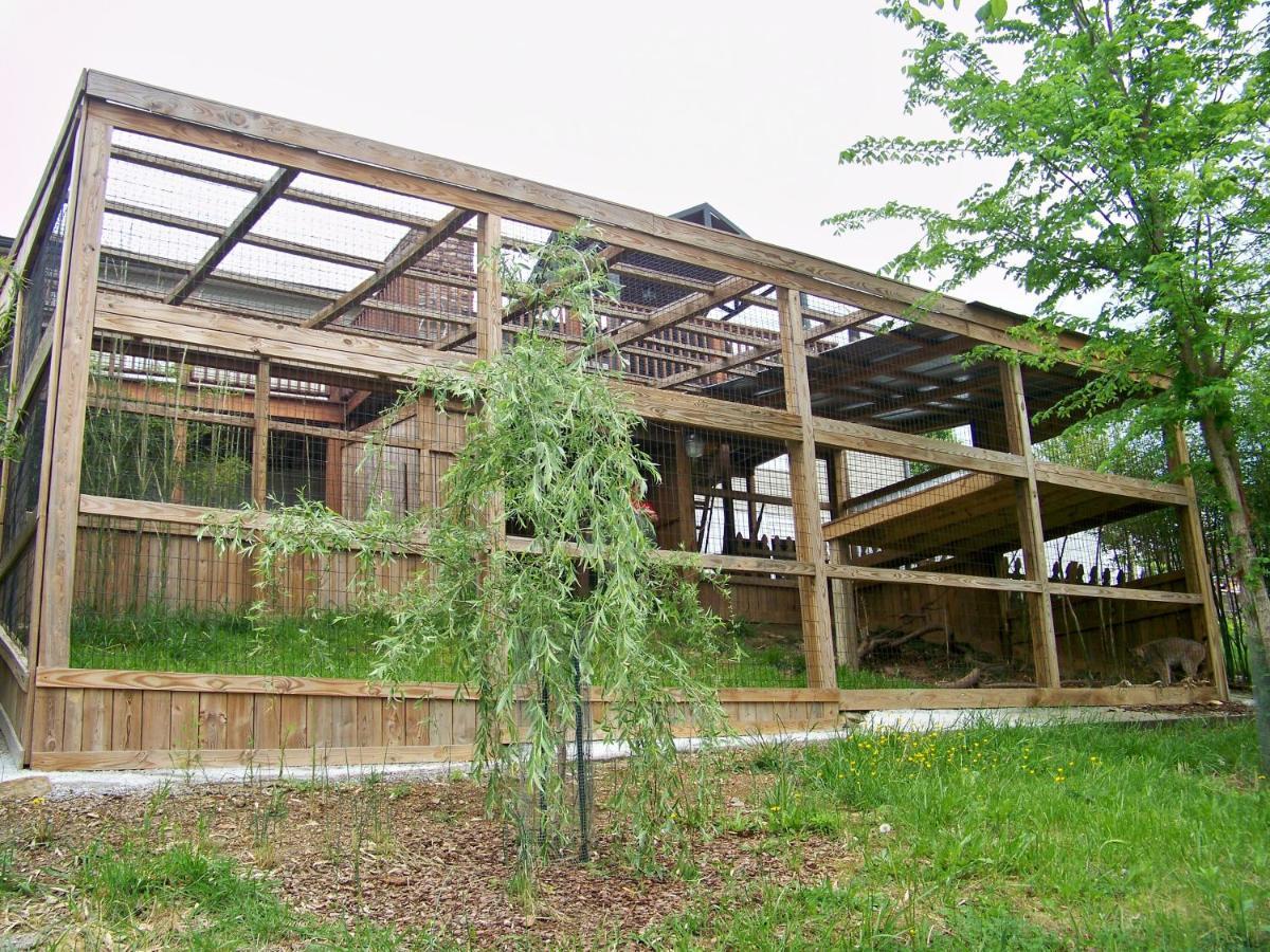 Private Pet Friendly Home Near Exotic Deer Farm Close To Pigeon Forge, Gatlinburg Tn Сивиървил Екстериор снимка
