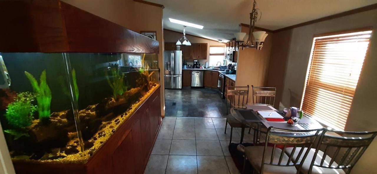 Private Pet Friendly Home Near Exotic Deer Farm Close To Pigeon Forge, Gatlinburg Tn Сивиървил Екстериор снимка